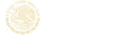 Logo GobMx_2